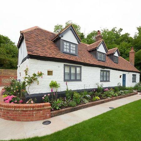 The Dog&Badger Bed and Breakfast Marlow  Eksteriør billede